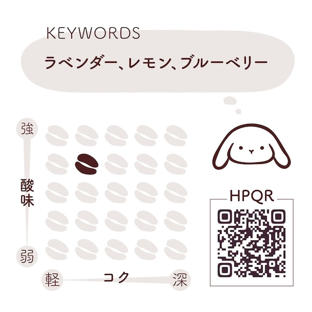 エチオピア ナチュラル コンガ