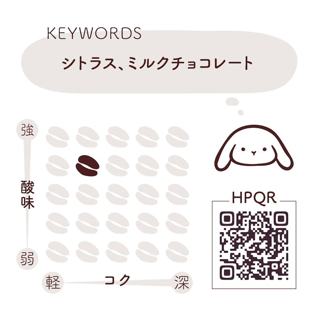 アイスコーヒーブレンド ライト
